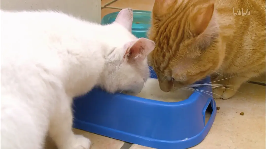 金钱与我 My Money & Me插图2 金钱与我 My Money & Me