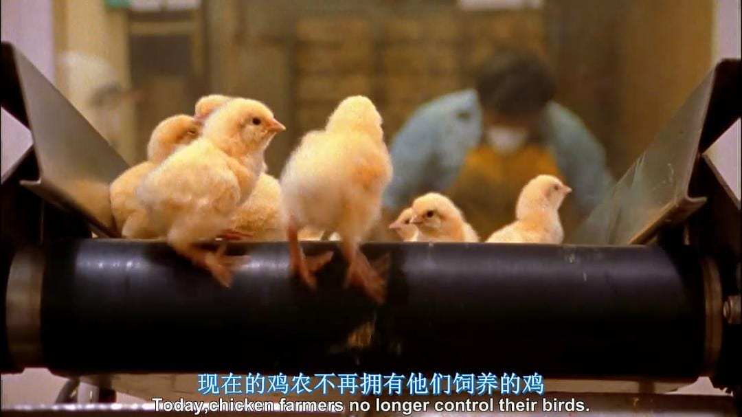 食品公司 Food, Inc.插图10 食品公司 Food, Inc.