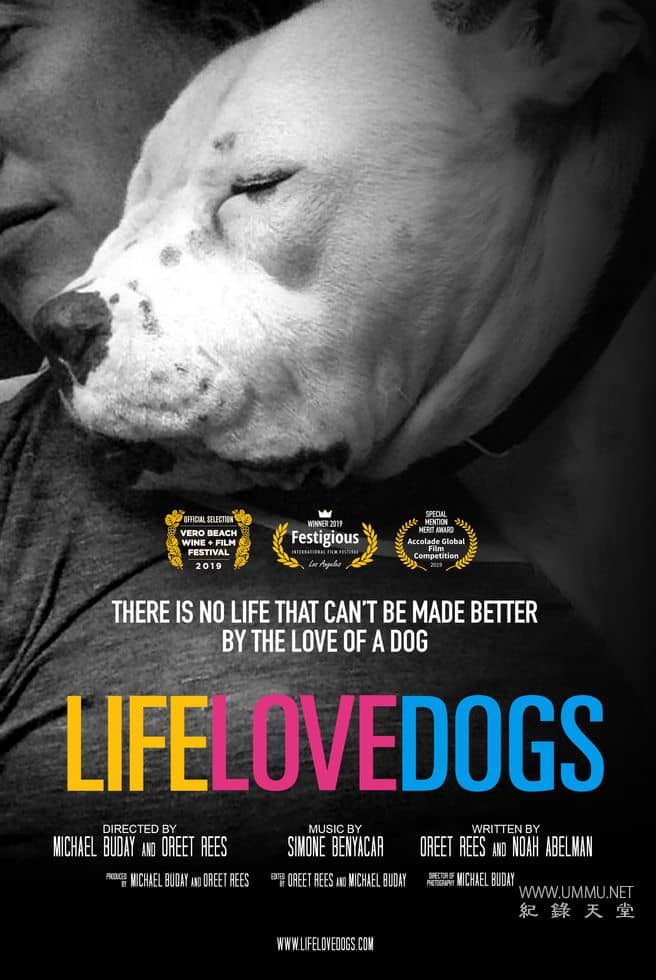 爱狗生活 Life Love Dogs插图 爱狗生活 Life Love Dogs