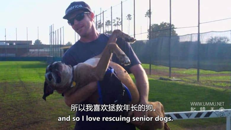 爱狗生活 Life Love Dogs插图1 爱狗生活 Life Love Dogs