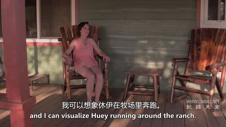 爱狗生活 Life Love Dogs插图6 爱狗生活 Life Love Dogs