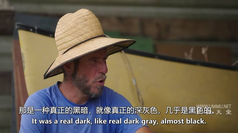 失落的怪物档案 Lost Monster Files插图3 失落的怪物档案 Lost Monster Files