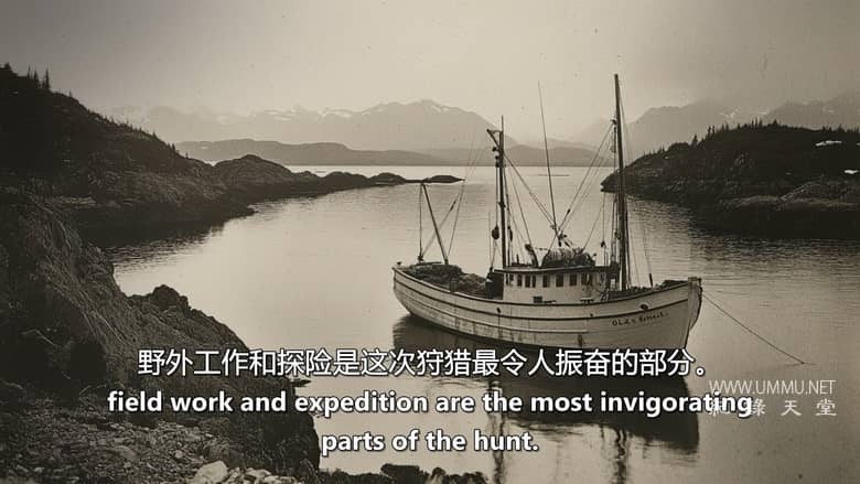 失落的怪物档案 Lost Monster Files插图5 失落的怪物档案 Lost Monster Files