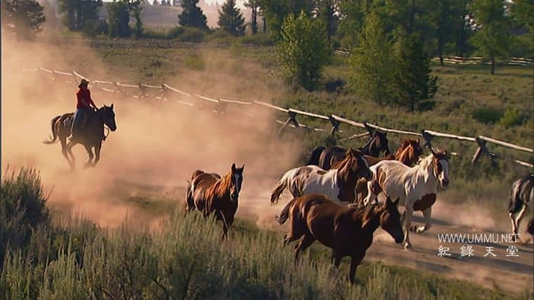 邪恶的西部谋杀案 Murder in the Wicked West插图1 邪恶的西部谋杀案 Murder in the Wicked West