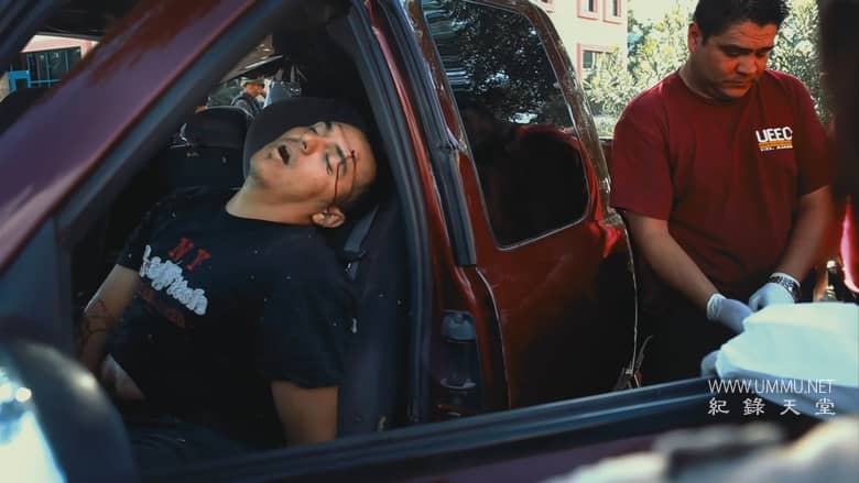 毒枭文化 Narco Cultura插图2 毒枭文化 Narco Cultura