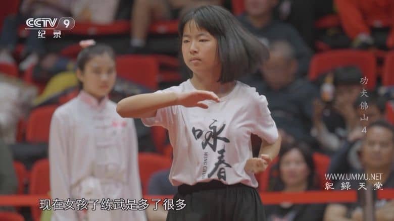 功夫佛山插图5 功夫佛山