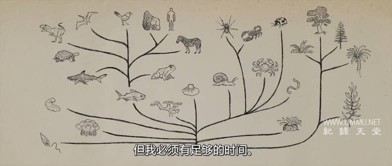 创世纪是历史吗?Is Genesis History?插图5 创世纪是历史吗?Is Genesis History?