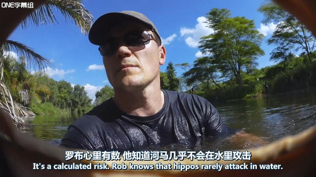 荒野间谍 第一季 Spy in the Wild Season 1插图5 荒野间谍 第一季 Spy in the Wild Season 1