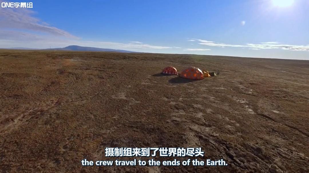 荒野间谍 第一季 Spy in the Wild Season 1插图13 荒野间谍 第一季 Spy in the Wild Season 1