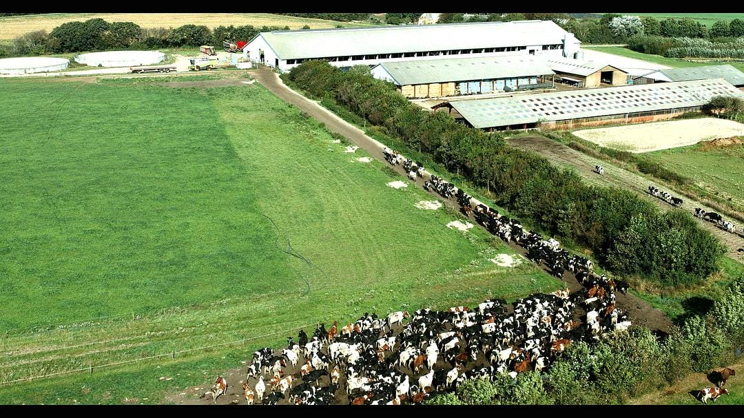 鲜乳哪里来 Das System Milch插图2 鲜乳哪里来 Das System Milch