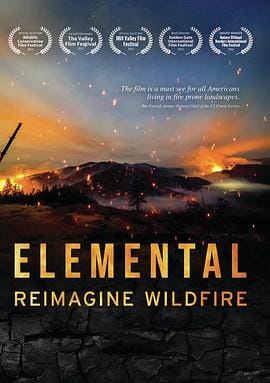 美国大火 Elemental: Reimagine Wildfire插图 美国大火 Elemental: Reimagine Wildfire