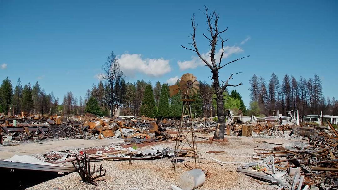 美国大火 Elemental: Reimagine Wildfire插图3 美国大火 Elemental: Reimagine Wildfire