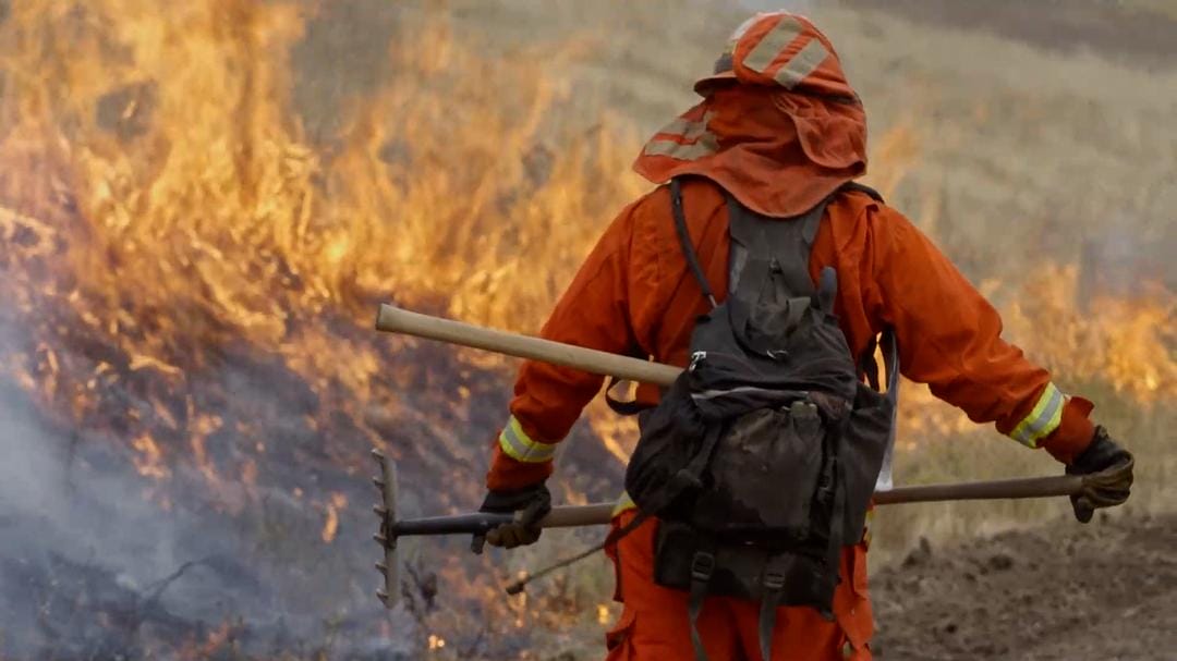 美国大火 Elemental: Reimagine Wildfire插图7 美国大火 Elemental: Reimagine Wildfire