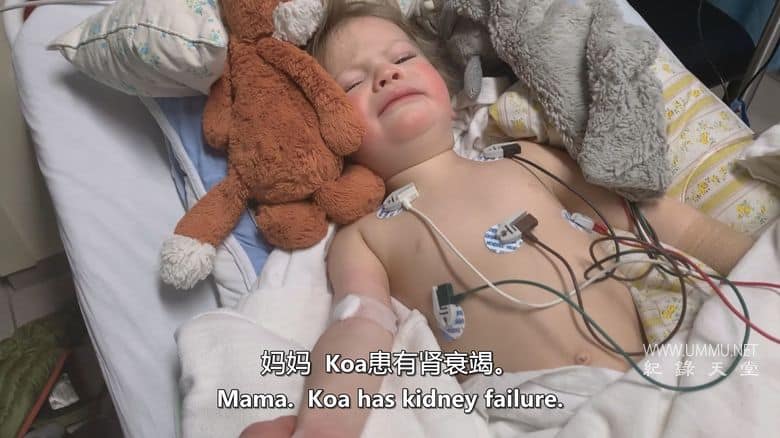 风暴中的蝴蝶 Butterfly in a Blizzard插图4 风暴中的蝴蝶 Butterfly in a Blizzard