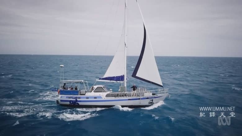 太平洋:库克船长的追随者 The Pacific: In the Wake of Captain Cook with Sam Neill插图4 太平洋:库克船长的追随者 The Pacific: In the Wake of Captain Cook with Sam Neill