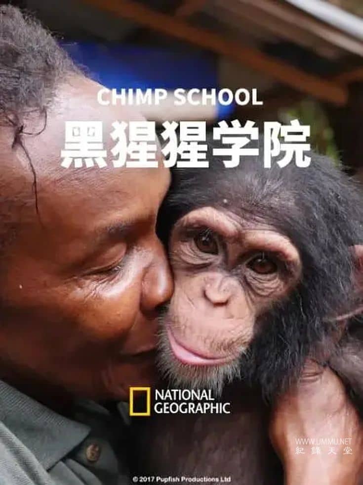 黑猩猩学院 Chimp School插图 黑猩猩学院 Chimp School