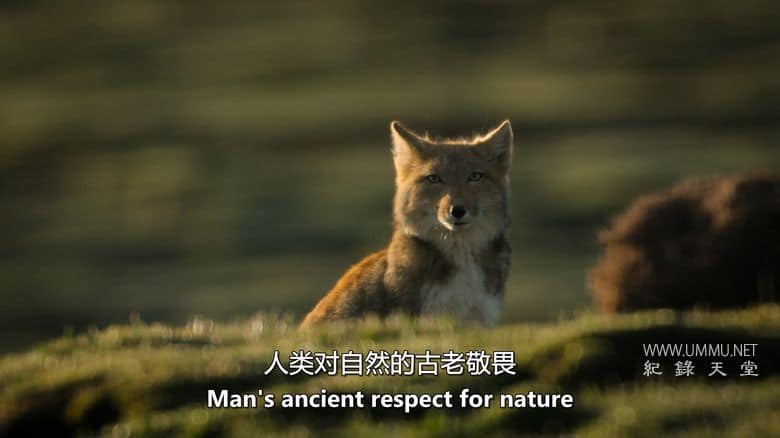 中国:自然古国 China:Nature's Ancient Kingdom插图2 中国:自然古国 China:Nature's Ancient Kingdom