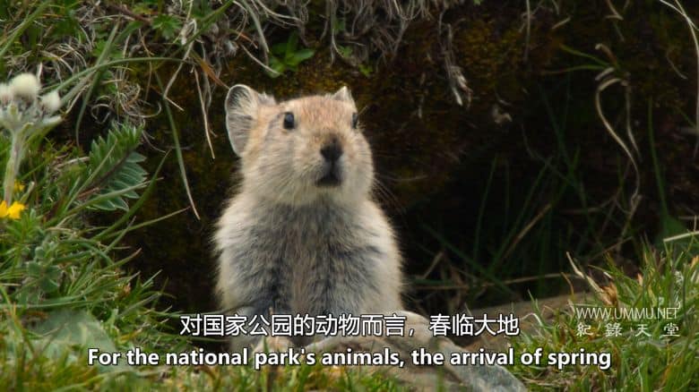 中国:自然古国 China:Nature's Ancient Kingdom插图4 中国:自然古国 China:Nature's Ancient Kingdom