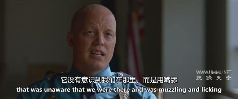 血与神话 Blood & Myth插图2 血与神话 Blood & Myth