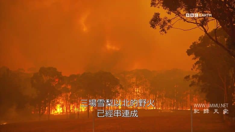 气候变化:艾德前线调查 Climate Change: Ade on the Frontline插图1 气候变化:艾德前线调查 Climate Change: Ade on the Frontline