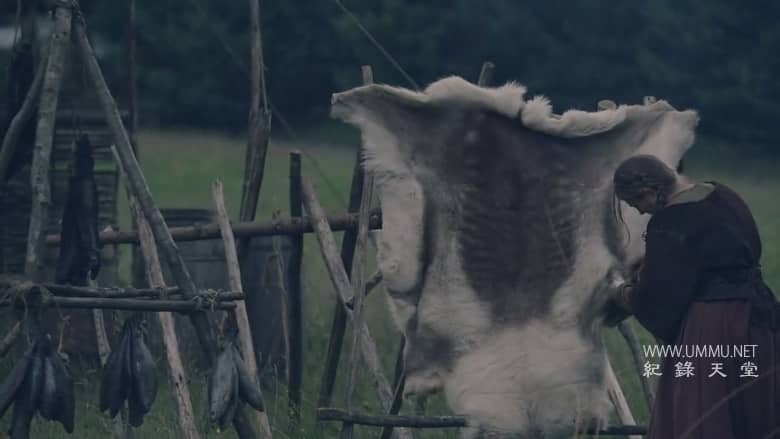 维京人的最后旅程 The Last Journey of the Vikings插图3 维京人的最后旅程 The Last Journey of the Vikings