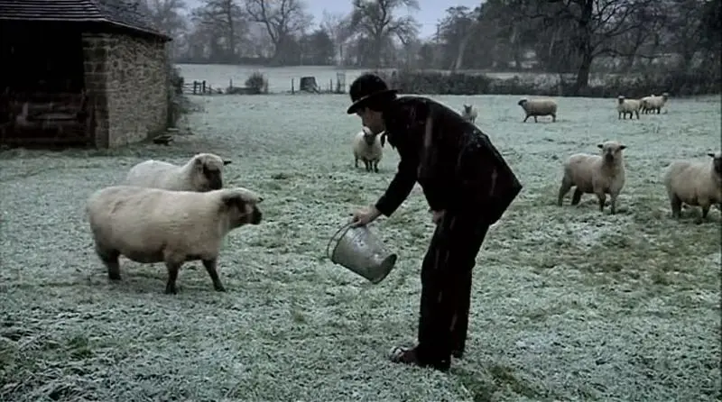 维多利亚时期的农场 Victorian Farm插图8 维多利亚时期的农场 Victorian Farm