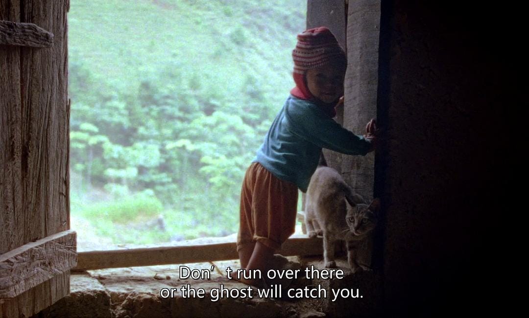 树房子 Nhà Cây插图5 树房子 Nhà Cây