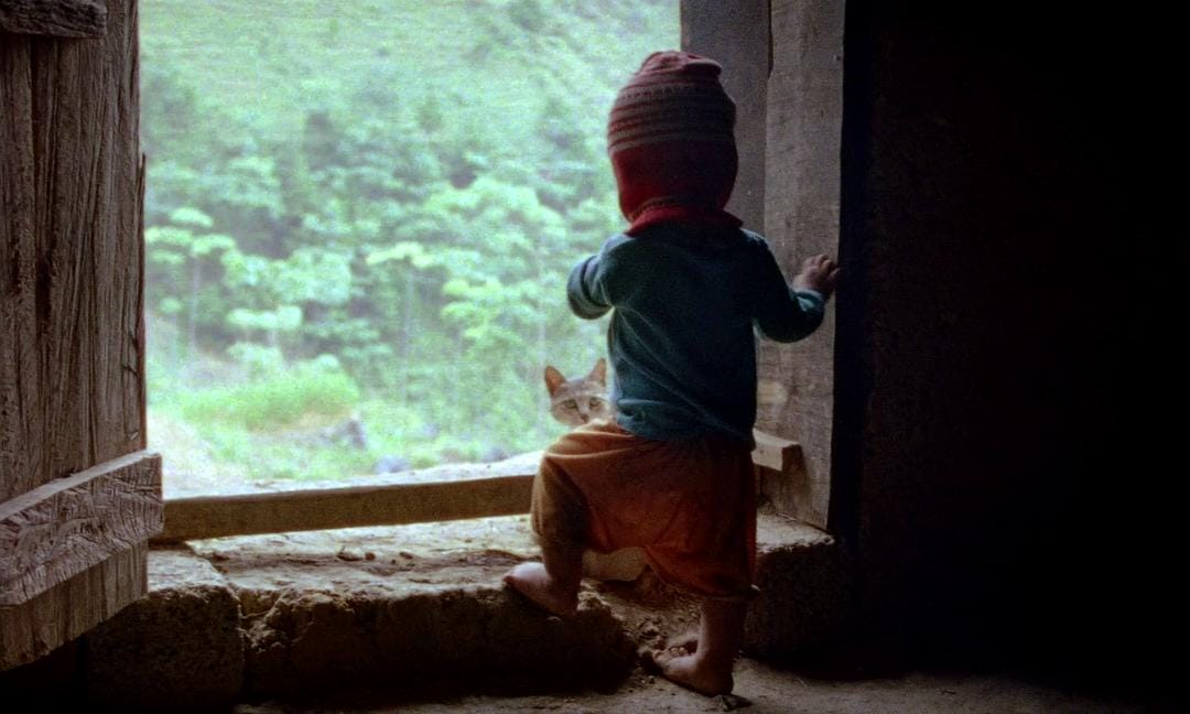 树房子 Nhà Cây插图6 树房子 Nhà Cây