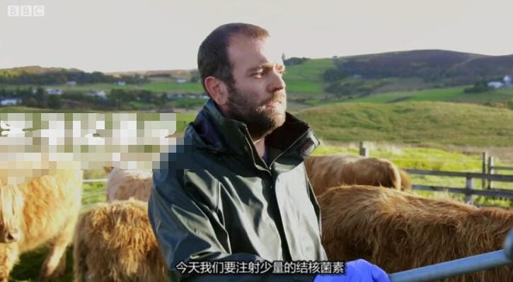 农耕生活 第二季 This Farming Life Season 2插图3 农耕生活 第二季 This Farming Life Season 2