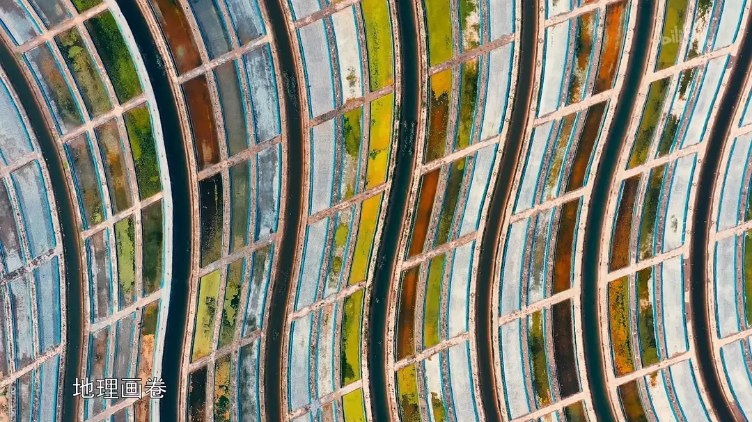 大河之北插图1 大河之北