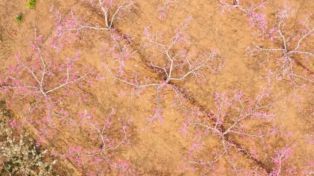 大河之北插图4 大河之北