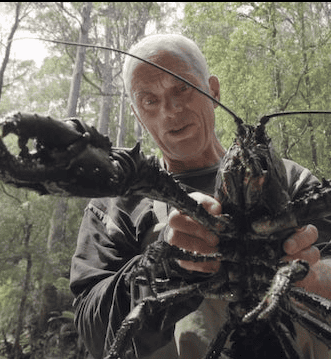 杰里米·维德 黑暗水域/深水探秘 Jeremy Wade’s Dark Waters 2018插图 杰里米·维德 黑暗水域/深水探秘 Jeremy Wade’s Dark Waters 2018