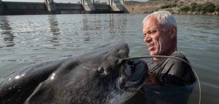 杰里米·维德 黑暗水域/深水探秘 Jeremy Wade’s Dark Waters 2018插图2 杰里米·维德 黑暗水域/深水探秘 Jeremy Wade’s Dark Waters 2018