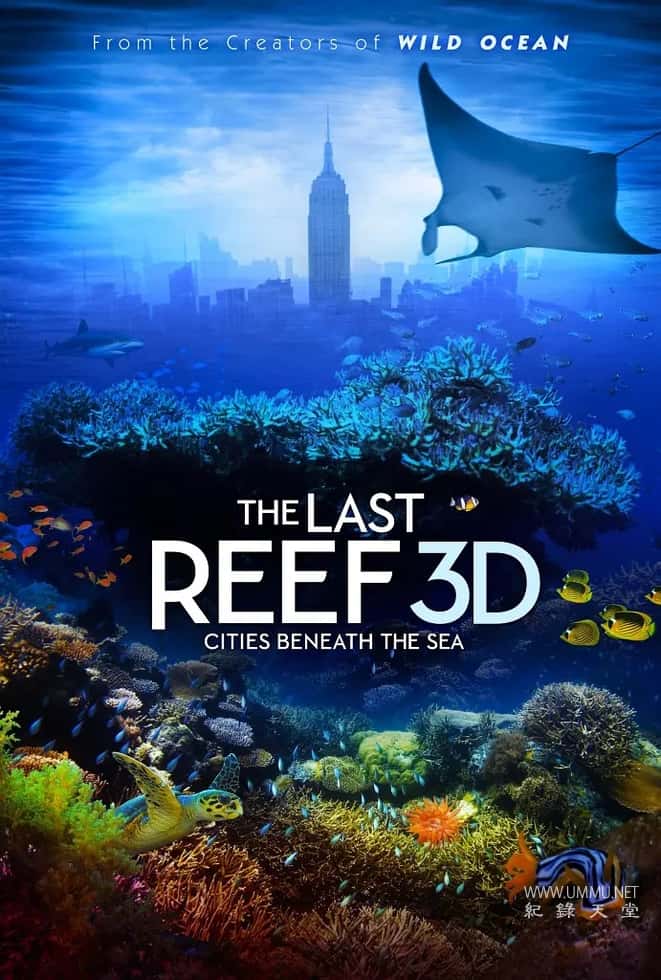 最后的珊瑚礁 The Last Reef: Cities Beneath the Sea插图 最后的珊瑚礁 The Last Reef: Cities Beneath the Sea