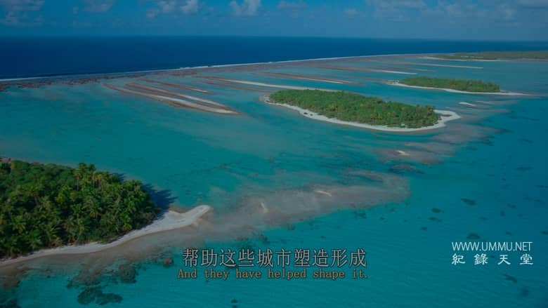 最后的珊瑚礁 The Last Reef: Cities Beneath the Sea插图1 最后的珊瑚礁 The Last Reef: Cities Beneath the Sea