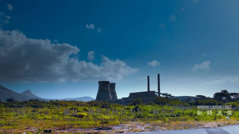 最后的珊瑚礁 The Last Reef: Cities Beneath the Sea插图5 最后的珊瑚礁 The Last Reef: Cities Beneath the Sea