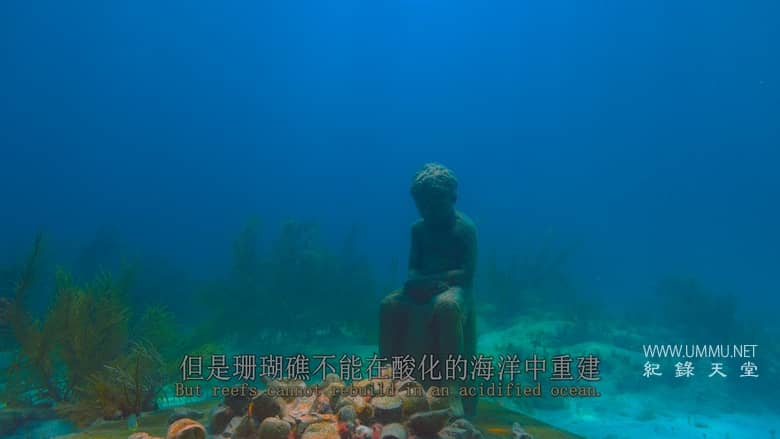 最后的珊瑚礁 The Last Reef: Cities Beneath the Sea插图7 最后的珊瑚礁 The Last Reef: Cities Beneath the Sea