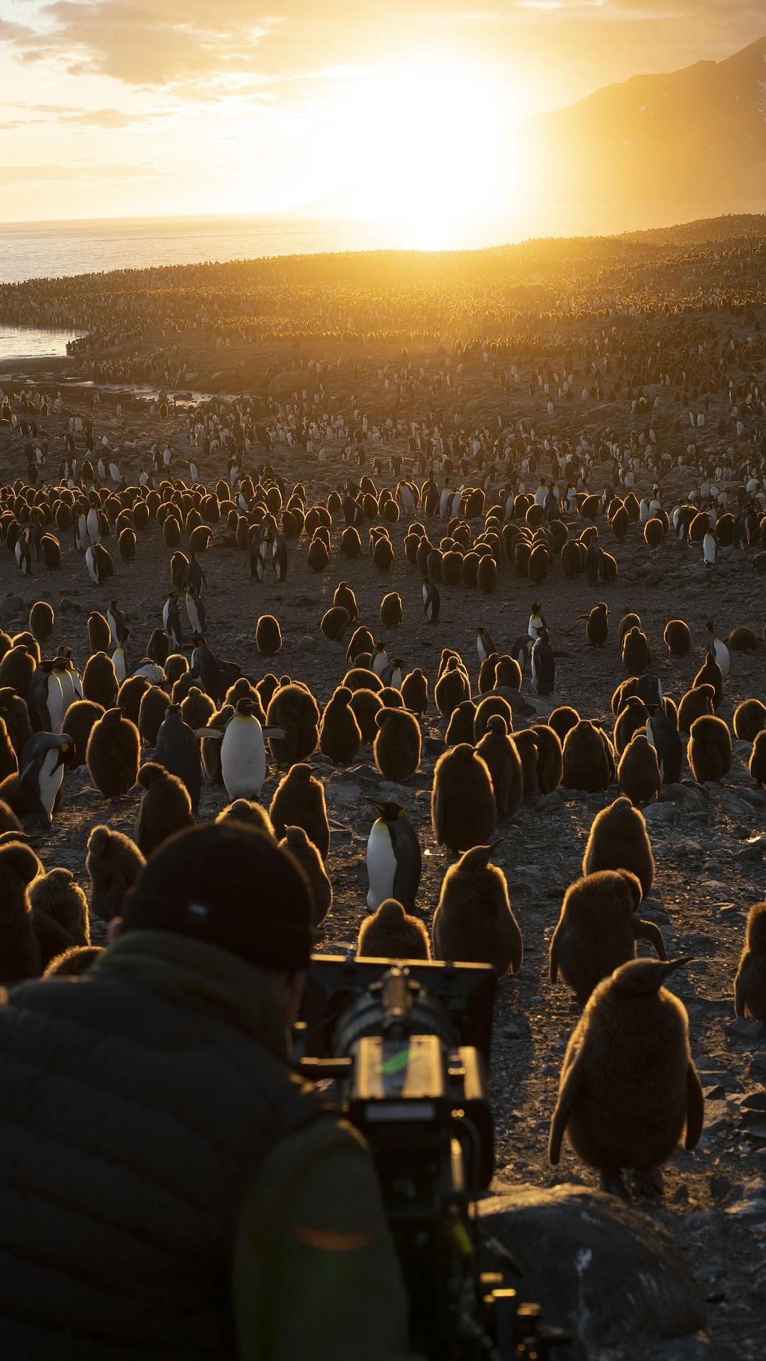 七个世界,一个星球 Seven Worlds, One Planet插图1 七个世界,一个星球 Seven Worlds, One Planet