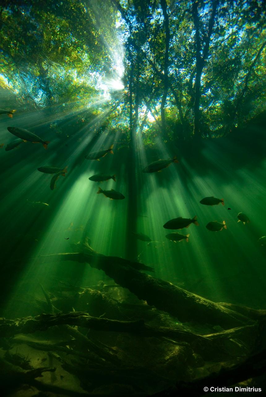 七个世界,一个星球 Seven Worlds, One Planet插图9 七个世界,一个星球 Seven Worlds, One Planet