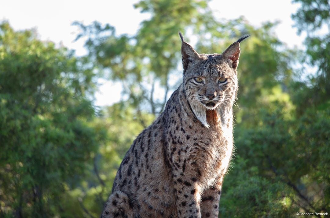 七个世界,一个星球 Seven Worlds, One Planet插图12 七个世界,一个星球 Seven Worlds, One Planet