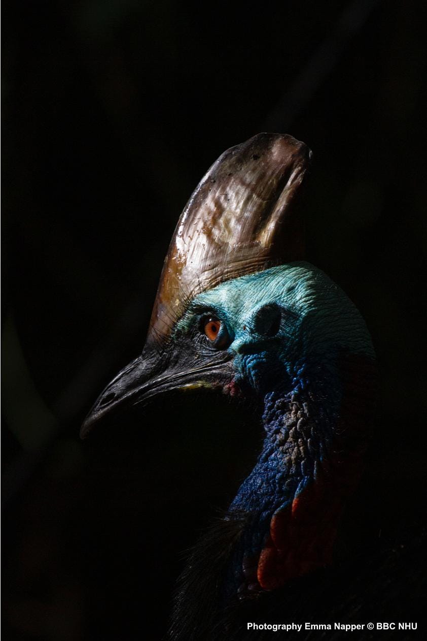 七个世界,一个星球 Seven Worlds, One Planet插图14 七个世界,一个星球 Seven Worlds, One Planet