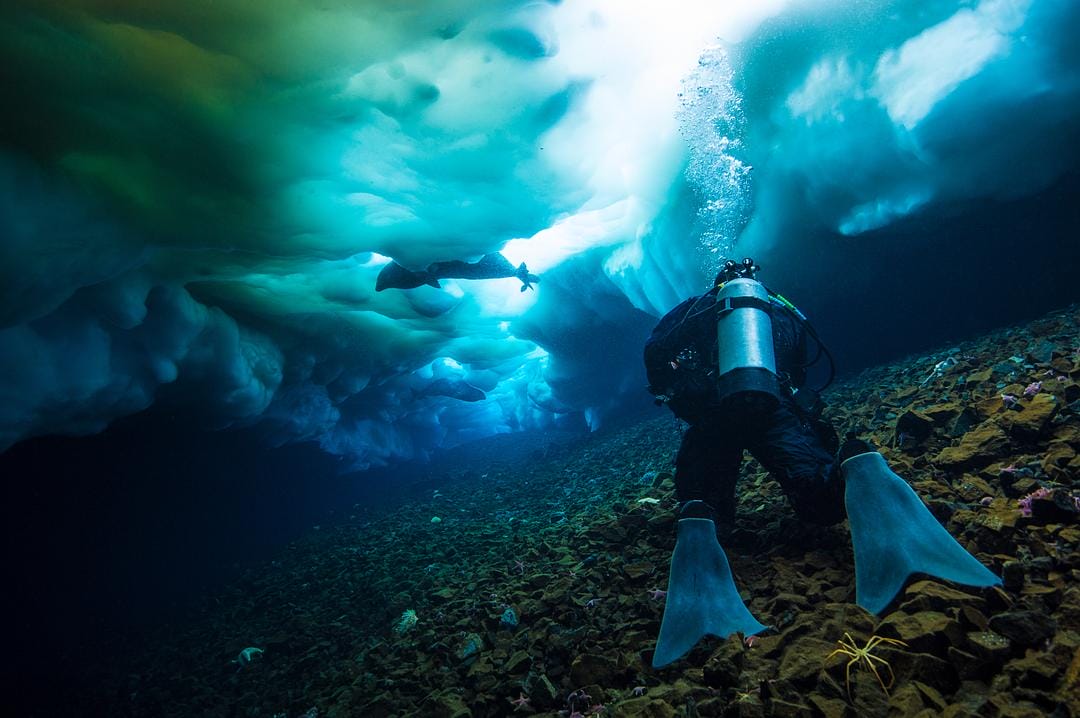 七个世界,一个星球 Seven Worlds, One Planet插图15 七个世界,一个星球 Seven Worlds, One Planet