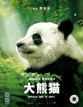 大熊猫 Pandas插图 大熊猫 Pandas