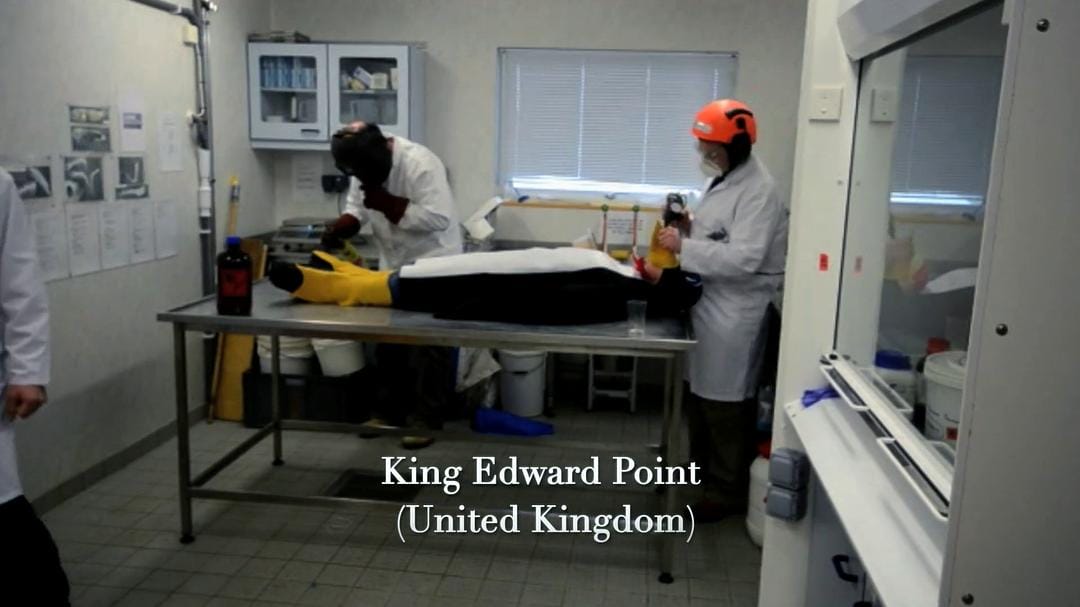 南极洲:冰上的一年 Antarctica: A Year on Ice插图5 南极洲:冰上的一年 Antarctica: A Year on Ice