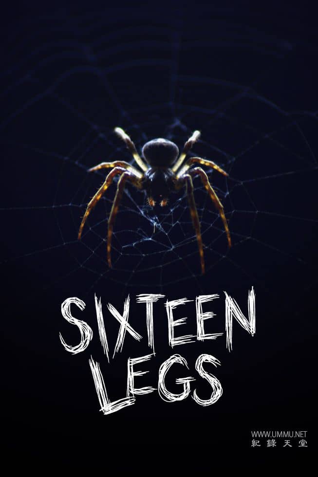 十六条腿 Sixteen Legs插图 十六条腿 Sixteen Legs