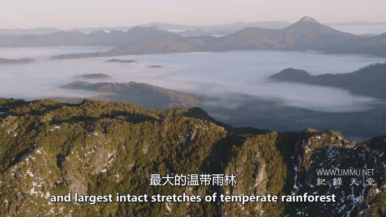 十六条腿 Sixteen Legs插图1 十六条腿 Sixteen Legs