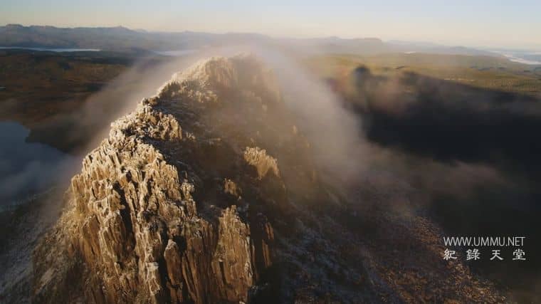 十六条腿 Sixteen Legs插图2 十六条腿 Sixteen Legs