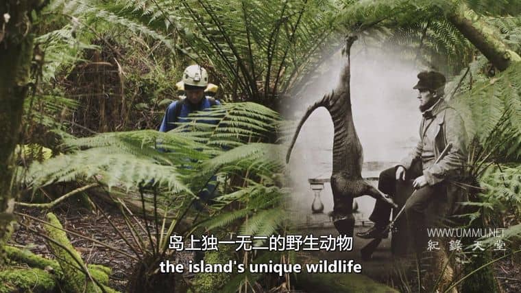 十六条腿 Sixteen Legs插图4 十六条腿 Sixteen Legs