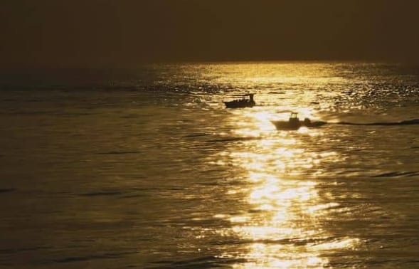 人间有味山河鲜 第2季插图1 人间有味山河鲜 第2季