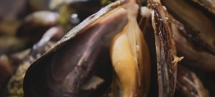 人间有味山河鲜 第2季插图2 人间有味山河鲜 第2季